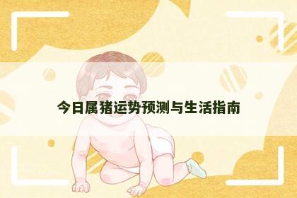 今日属猪运势预测与生活指南