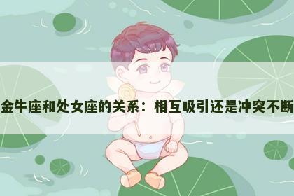 金牛座和处女座的关系：相互吸引还是冲突不断