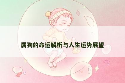 属狗的命运解析与人生运势展望
