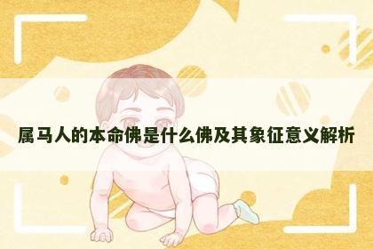 属马人的本命佛是什么佛及其象征意义解析