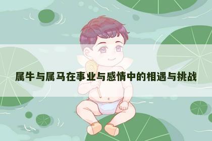 属牛与属马在事业与感情中的相遇与挑战