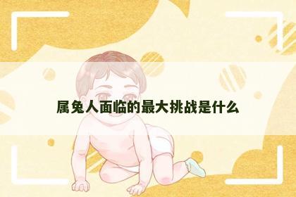 属兔人面临的最大挑战是什么