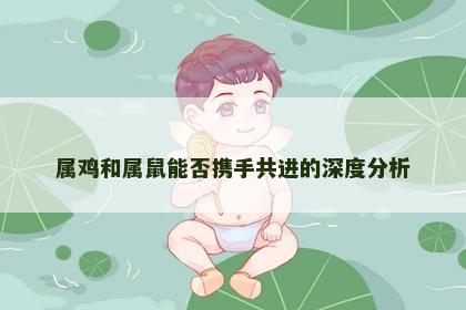 属鸡和属鼠能否携手共进的深度分析