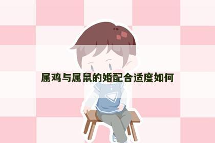 属鸡与属鼠的婚配合适度如何