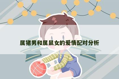 属猪男和属鼠女的爱情配对分析