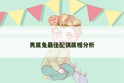 男属兔最佳配偶属相分析