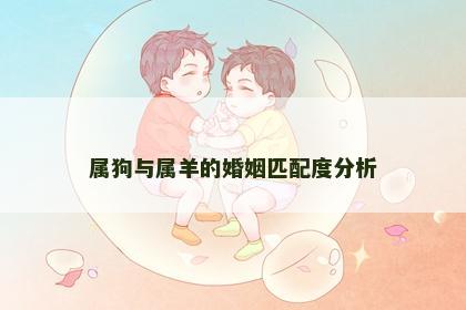 属狗与属羊的婚姻匹配度分析