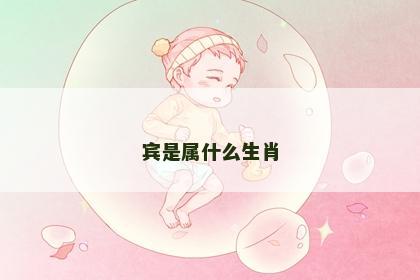 宾是属什么生肖