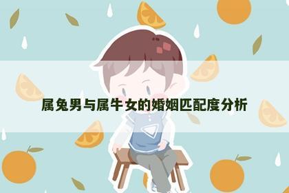 属兔男与属牛女的婚姻匹配度分析