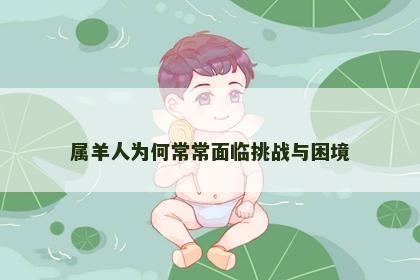 属羊人为何常常面临挑战与困境