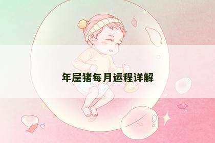 年屋猪每月运程详解