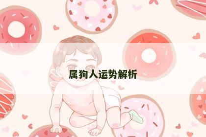 属狗人运势解析