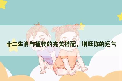 十二生肖与植物的完美搭配，增旺你的运气