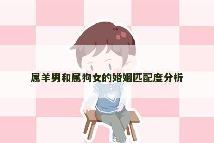 属羊男和属狗女的婚姻匹配度分析