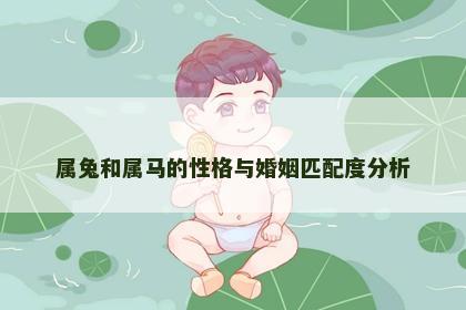 属兔和属马的性格与婚姻匹配度分析