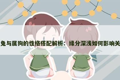 属兔与属狗的性格搭配解析：缘分深浅如何影响关系