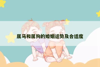 属马和属狗的婚姻运势及合适度