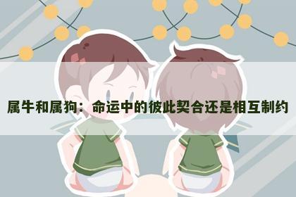 属牛和属狗：命运中的彼此契合还是相互制约