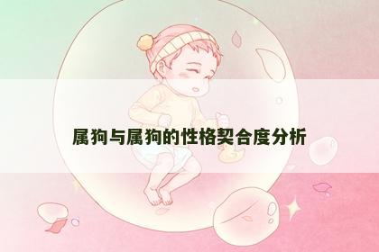 属狗与属狗的性格契合度分析