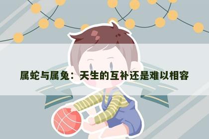 属蛇与属兔：天生的互补还是难以相容