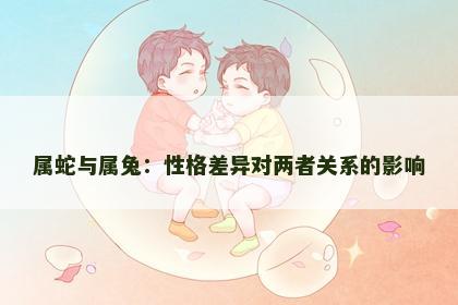 属蛇与属兔：性格差异对两者关系的影响