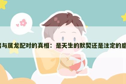 属猪与属龙配对的真相：是天生的默契还是注定的磨合？