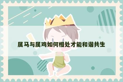 属马与属鸡如何相处才能和谐共生