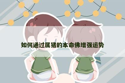 如何通过属猪的本命佛增强运势