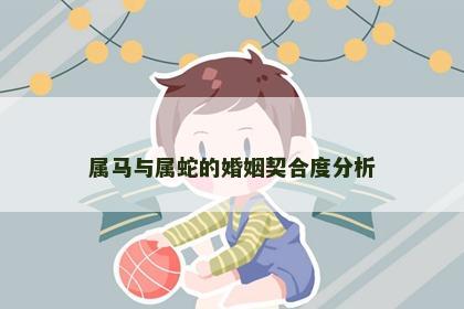 属马与属蛇的婚姻契合度分析