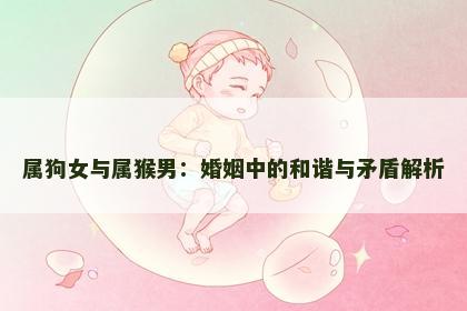 属狗女与属猴男：婚姻中的和谐与矛盾解析
