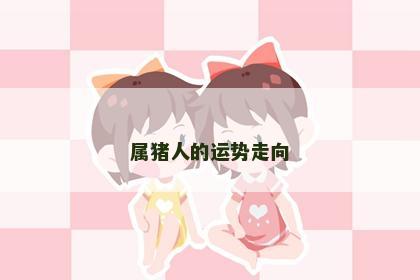 属猪人的运势走向