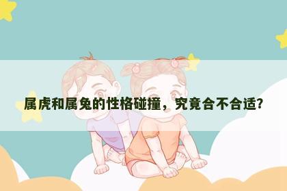 属虎和属兔的性格碰撞，究竟合不合适？