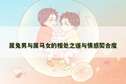 属兔男与属马女的相处之道与情感契合度
