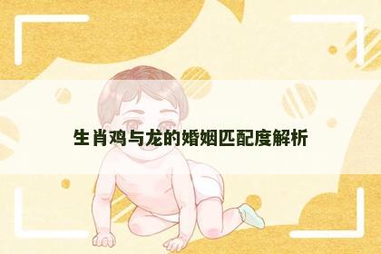 生肖鸡与龙的婚姻匹配度解析