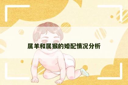 属羊和属猴的婚配情况分析