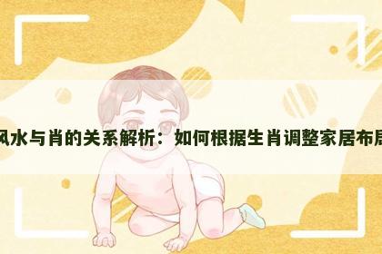 风水与肖的关系解析：如何根据生肖调整家居布局