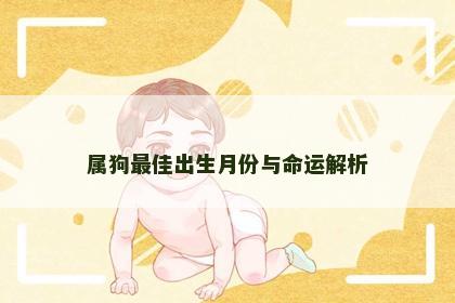 属狗最佳出生月份与命运解析