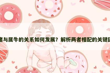 属猪与属牛的关系如何发展？解析两者相配的关键因素