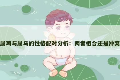 属鸡与属马的性格配对分析：两者相合还是冲突