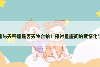 双子座与天秤座是否天生合拍？探讨星座间的爱情化学反应