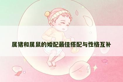 属猪和属鼠的婚配最佳搭配与性格互补