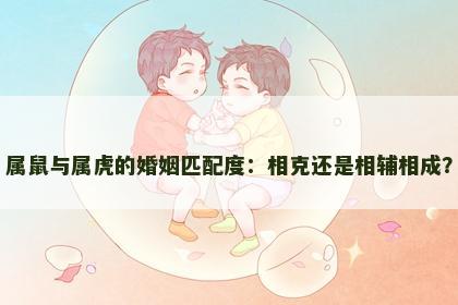 属鼠与属虎的婚姻匹配度：相克还是相辅相成？