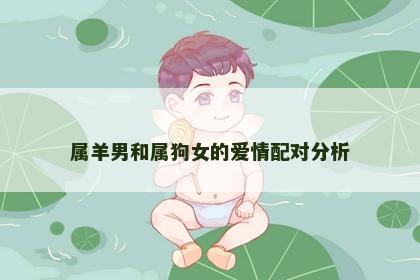 属羊男和属狗女的爱情配对分析