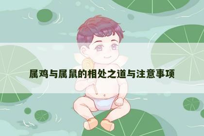 属鸡与属鼠的相处之道与注意事项