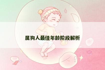 属狗人最佳年龄阶段解析