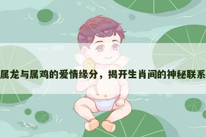 属龙与属鸡的爱情缘分，揭开生肖间的神秘联系
