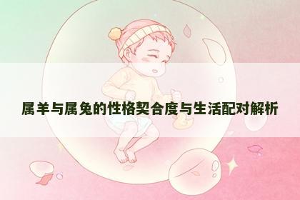 属羊与属兔的性格契合度与生活配对解析