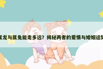 属龙与属兔能走多远？揭秘两者的爱情与婚姻运势