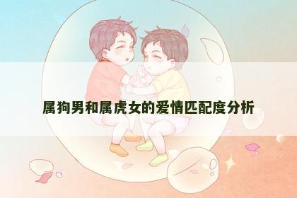 属狗男和属虎女的爱情匹配度分析