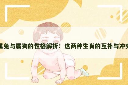 属兔与属狗的性格解析：这两种生肖的互补与冲突